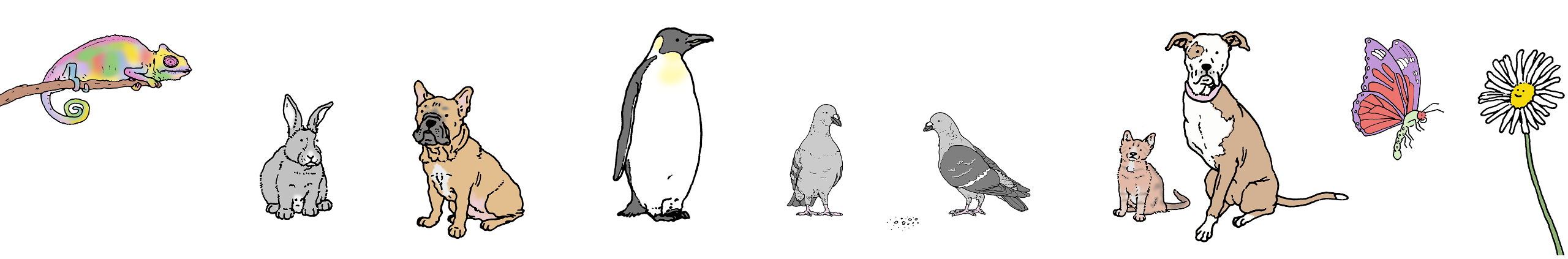 A hand-drawn image of a menagerie of animals.